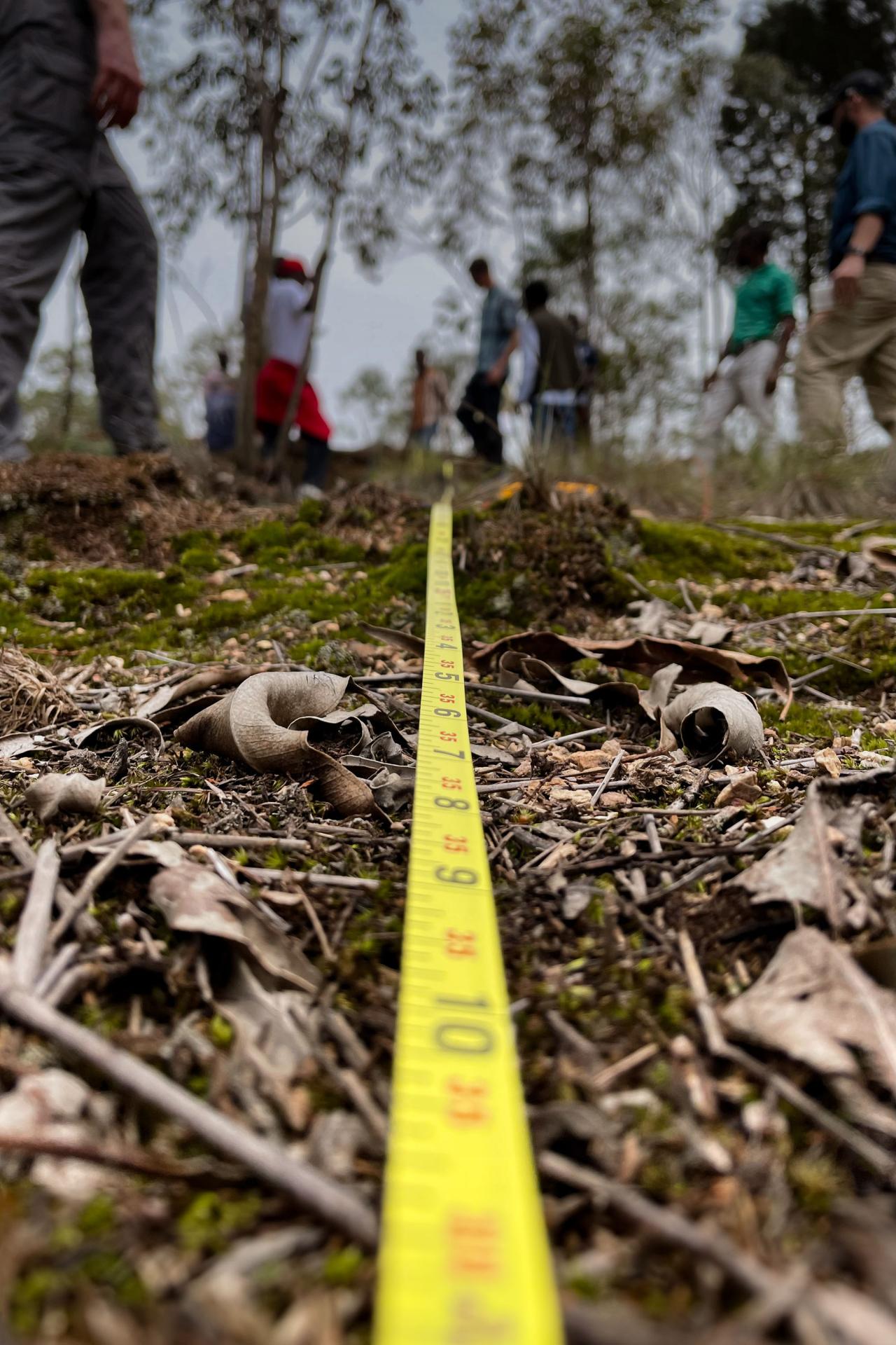 Measuring tape on the ground