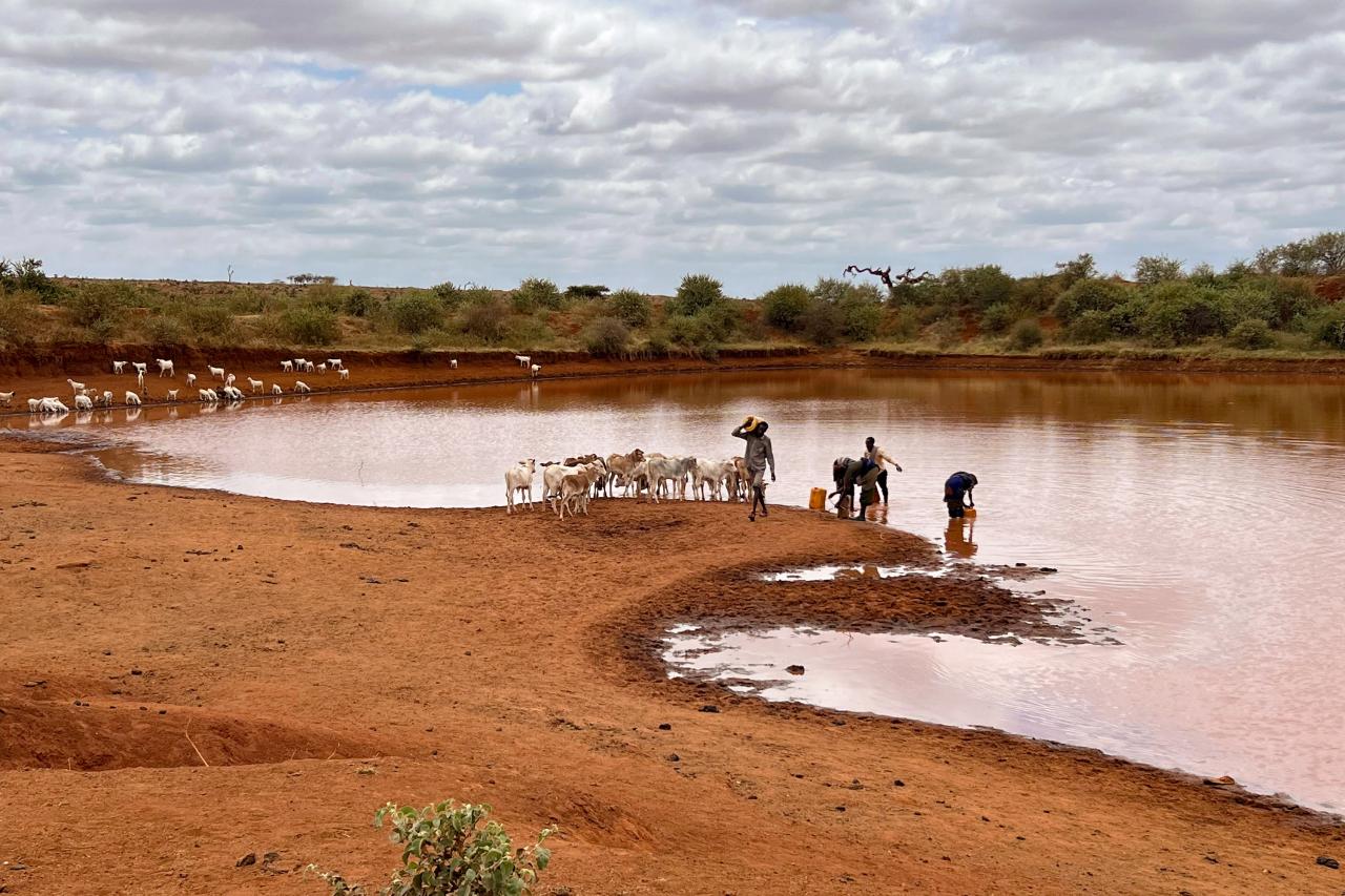 People near a pond