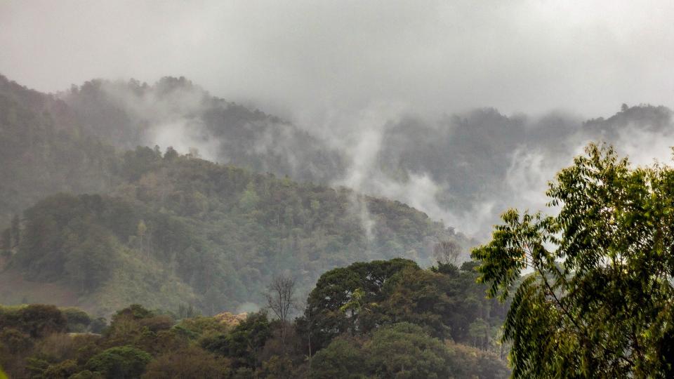 A foggy mountain landscape