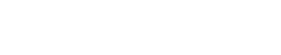OMNIPLAN logo